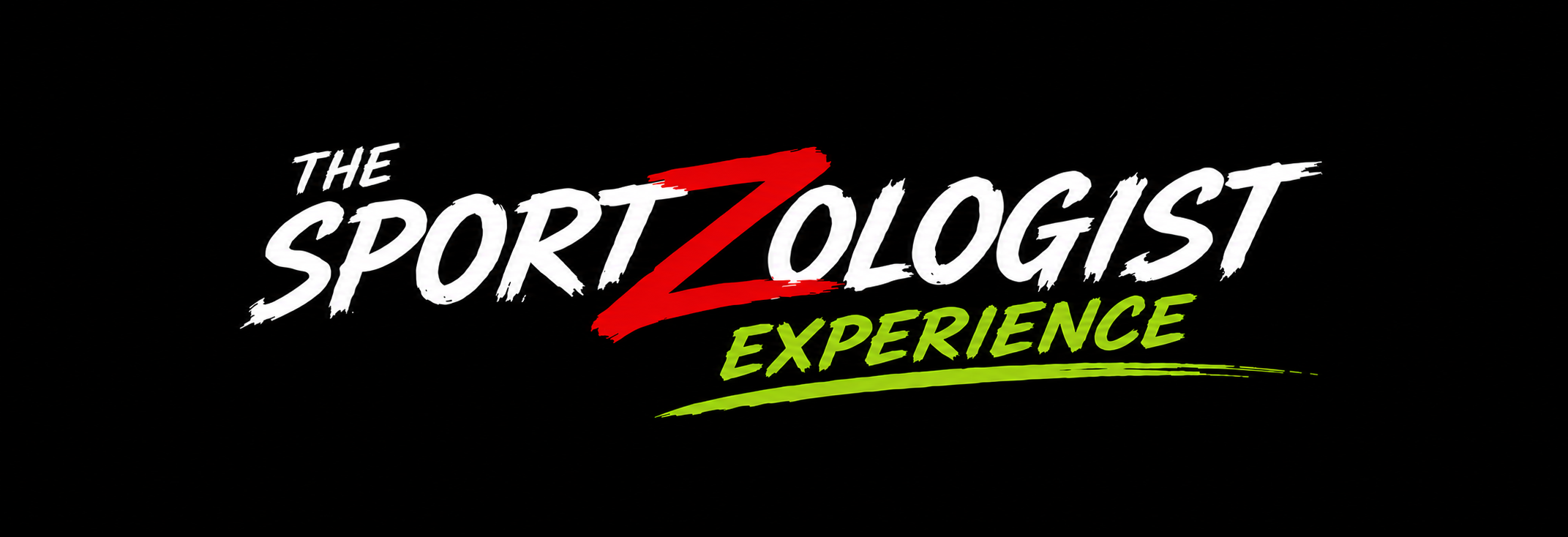 The Sportzologist Experience